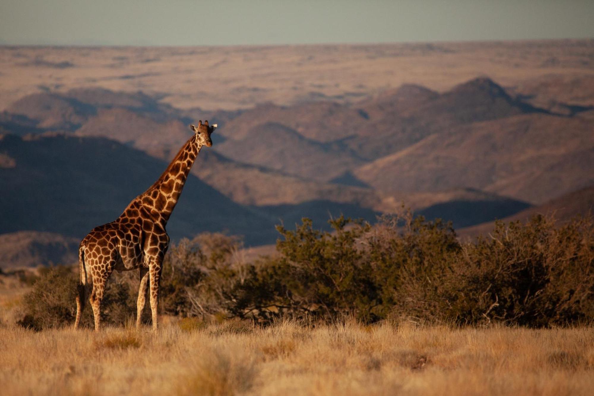 Sandfontein Lodge & Nature Reserve Exterior photo